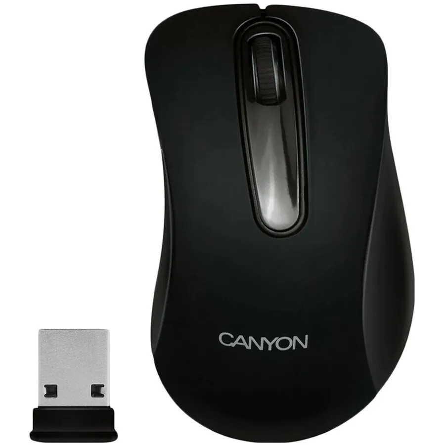 Canyon CANYON Mouse CNE-CMSW2 (Wireless, Optical 800 dpi, 3 btn, USB), Black