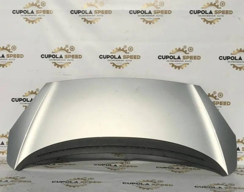 Capota motor Peugeot 1007 (2005-2009)