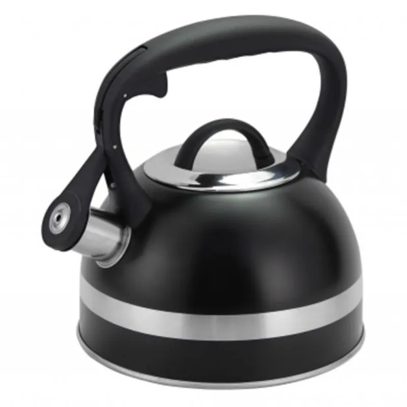 Ceainic Inox cu Fluier, Capacitate 3 l, Negru