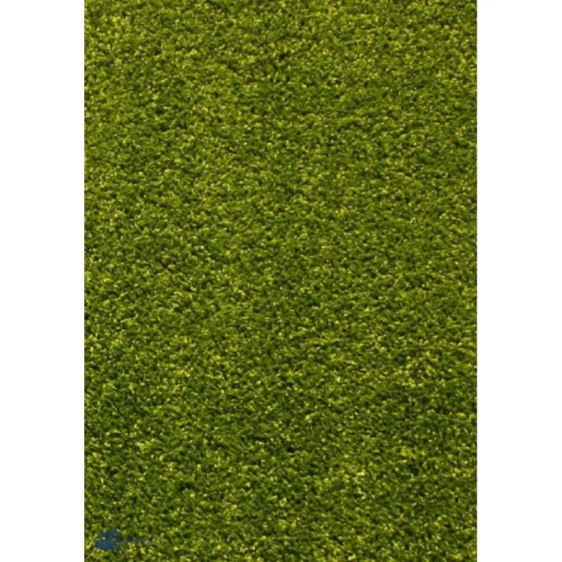 Covor Dreptunghiular, 80 x 150 cm, Verde, Kolibri 11000/130