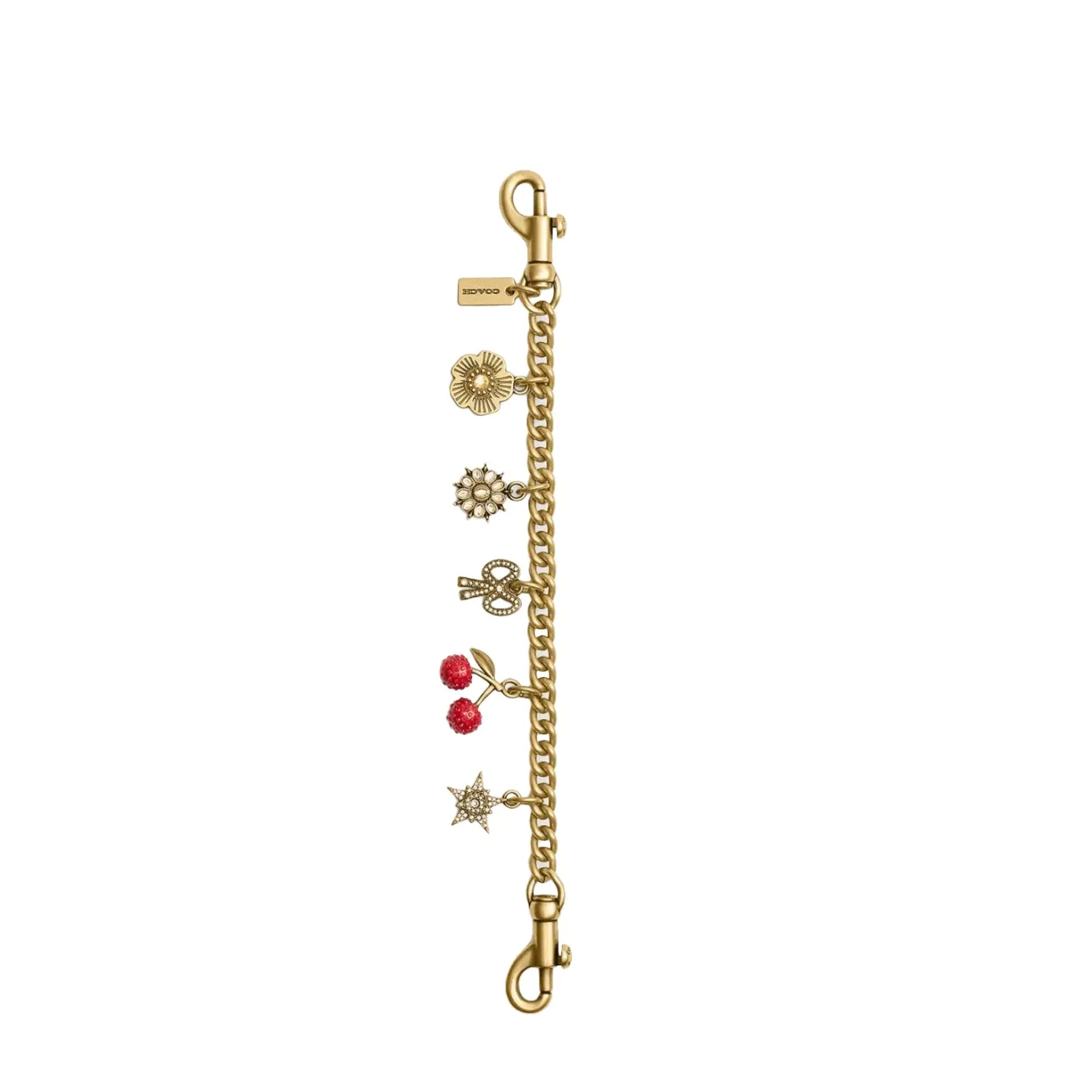 Crystal motif chain charm