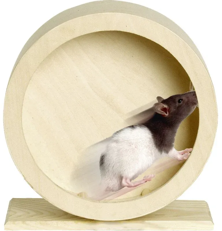 FLAMINGO Wonderland Roată din lemn natural pentru rozătoare 19,5cm