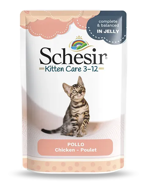 Hrana umeda pisici, Schesir Kitten Chicken Fillets in Jelly, 85 g