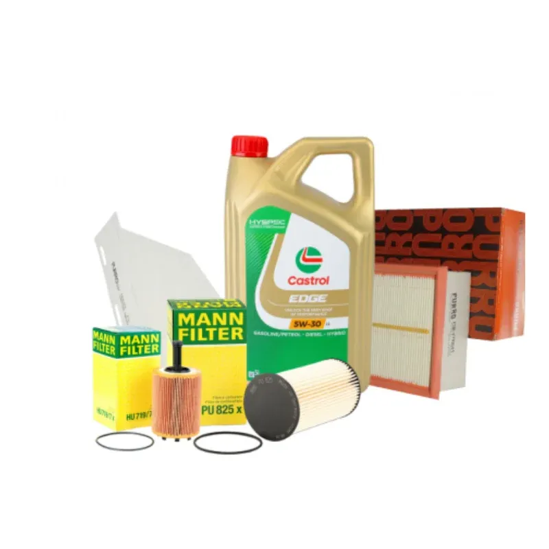 Pachet schimb ulei SILVER Castrol 5L+ filtre Purro Mann pentru grupul VAG - VW AUDI SKODA SEAT 1.9TDI, 2.0TDI