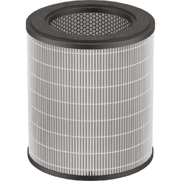 Rowenta Filtru aer pentru ROWENTA Pure Air City XD6280F0