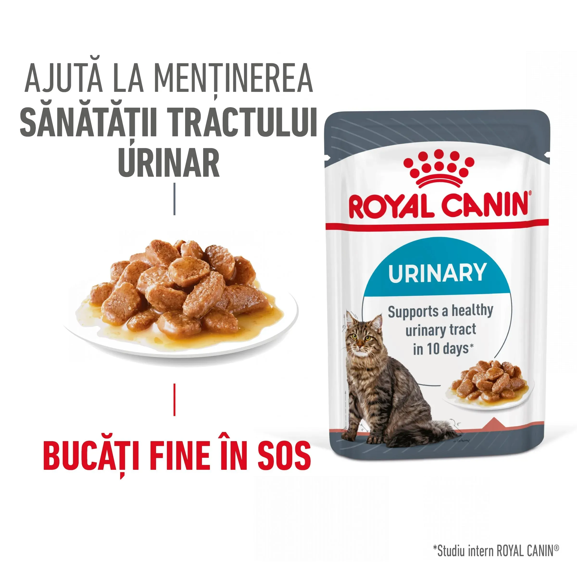 Royal Canin Urinary Care Adult hrana umeda pisica, sanatatea tractului urinar (in sos), 85 g