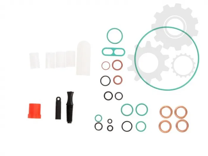 Set reparatie pompa combustibil (Potriveste DFP1) FORD FOCUS, FOCUS C-MAX, FOCUS II, GALAXY 1.8D intre 2001-2015