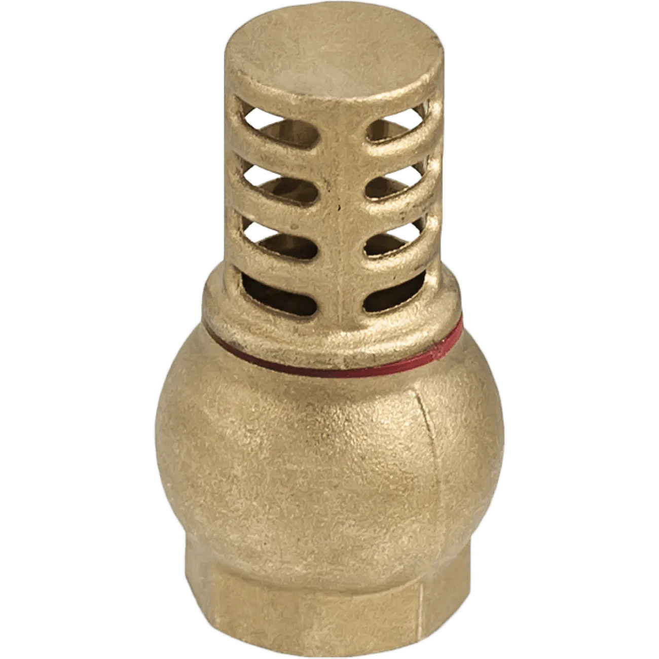 Sorb cu filtru din alama, 1 tol, filet interior